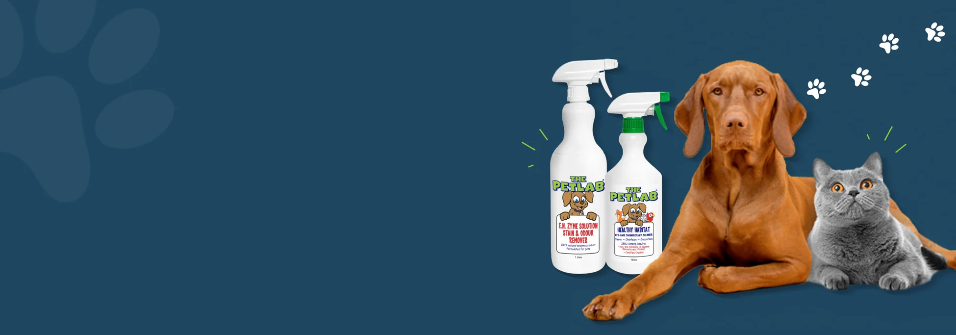 Welcome to Our Store